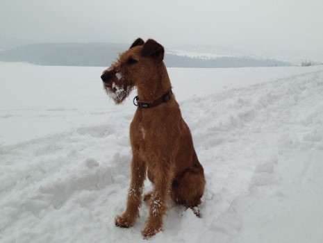 Poker im Schnee